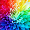 COLORI IN INGLESE